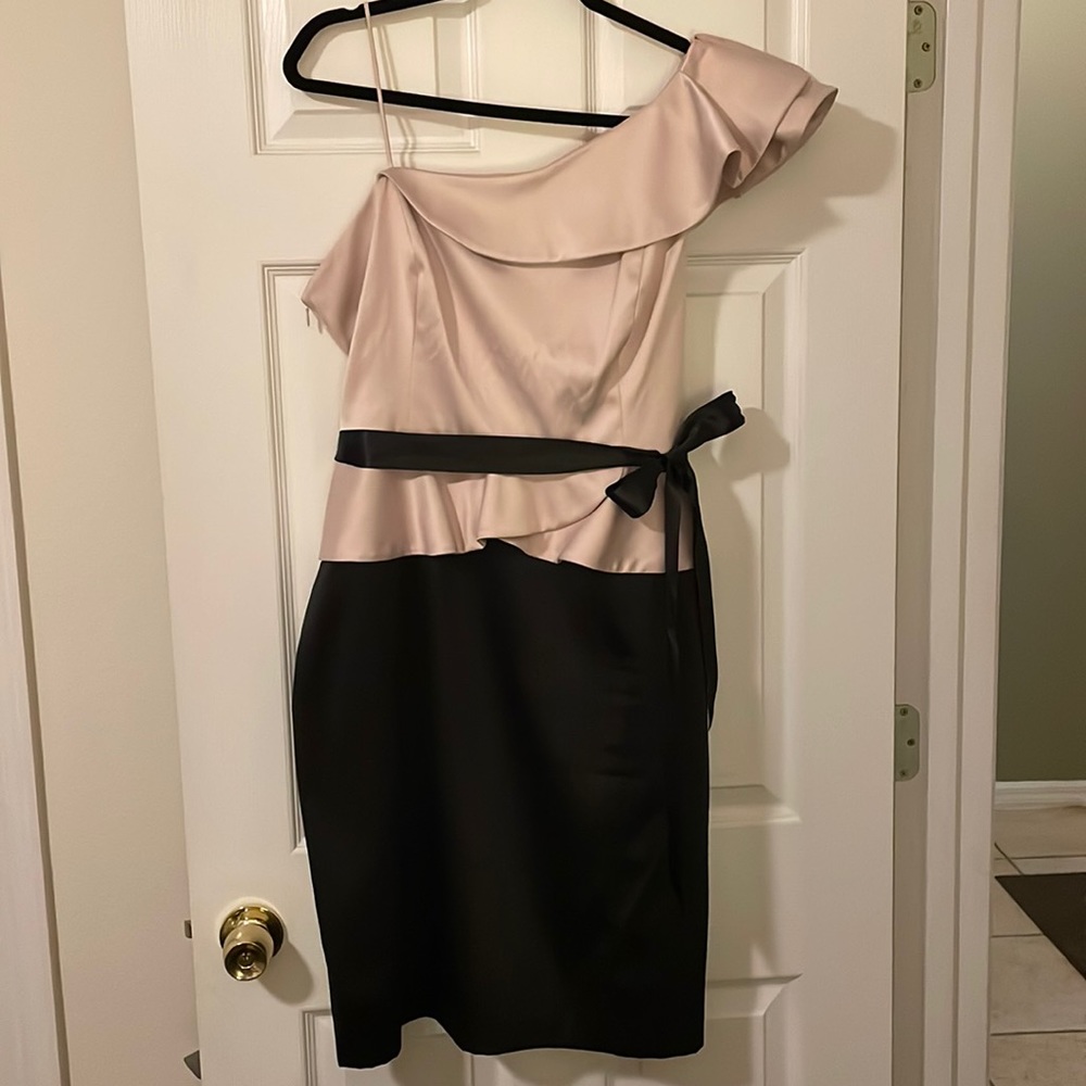 JS Collections Dress Pink and Black Dress